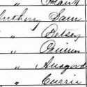 1870census